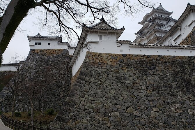 2.5 Hour Private History and Culture Tour in Himeji Castle - Tour Overview and Details