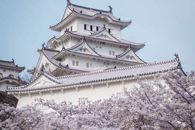 9-Day Japan and South Korea Highlight Tour - Explore Japans Vibrant Cities