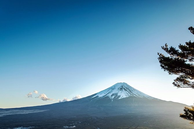 Bike Down Mount Fuji Tour - Tour Logistics and Essentials