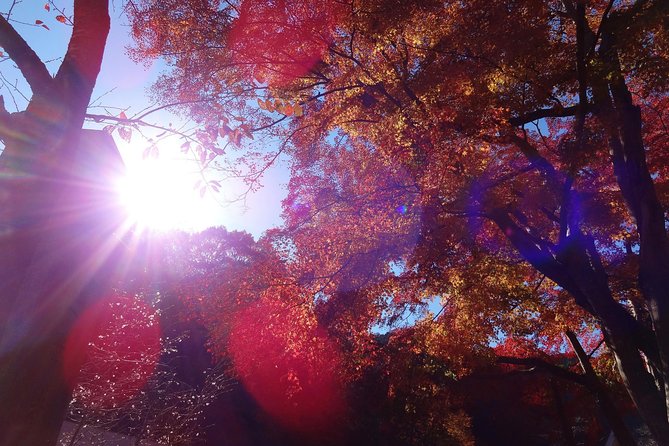 Full Day Hiking Tour at Mt.Takao Including Hot Spring