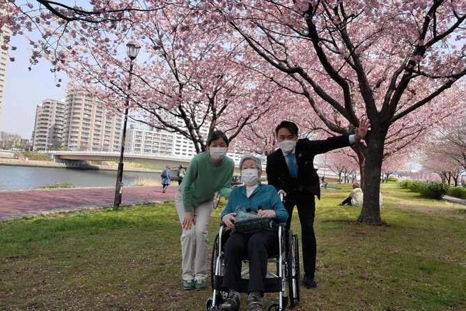 Full Day Private Tokyo Tour for Wheelchair Users