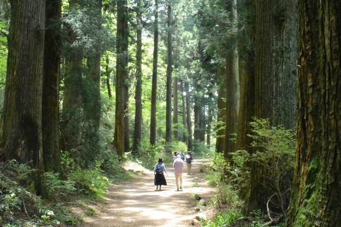 Hike Hakone Eight Peaks