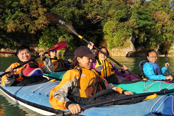 Kayak Mangroves or Coral Reef: Private Tour in North Okinawa