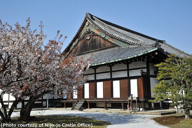 Kyoto and Nara 1 Day Trip – Golden Pavilion & Todaiji From Osaka