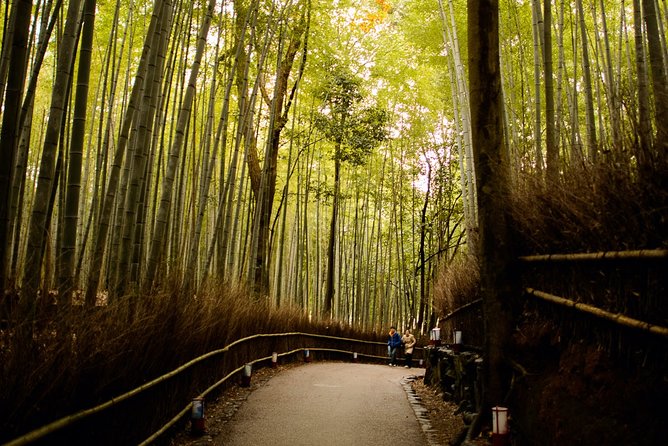 Kyoto Bamboo Forest Electric Bike Tour - Tour Overview and Highlights