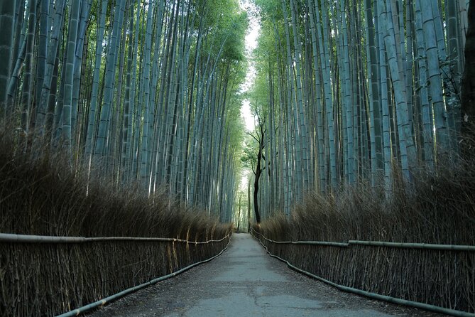 Kyoto Early Morning Tour With English-Speaking Guide