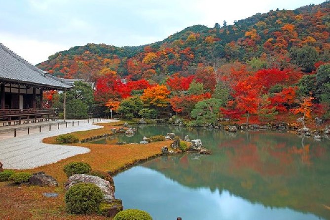 Kyoto Sagano Bamboo Grove & Arashiyama Walking Tour - Tour Highlights and Features