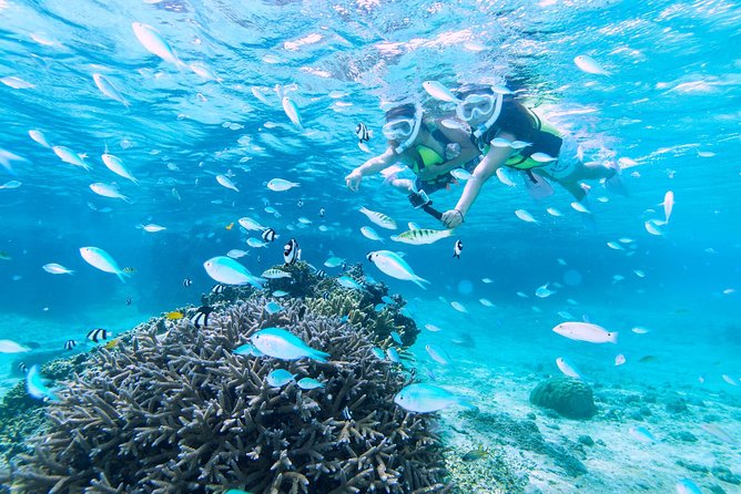 Miyakojima / Snorkel Tour to Enjoy Coral and Fish - Preparing for the Snorkel Tour