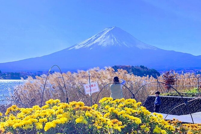 Mount Fuji Private One Day Tour With English Speaking Driver