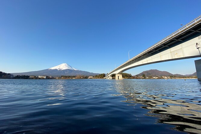 Mt Fuji Half-Day Tour By Car - Mt Fuji Half-Day Tour Overview