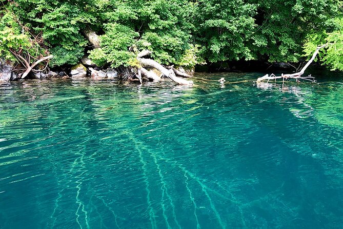 Oirase Gorge and Lake Towada Day Hike With Government-Licensed Guide