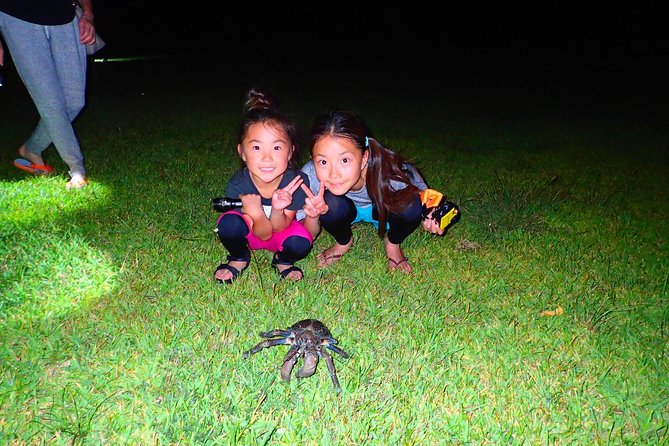 [Okinawa Iriomote] Night Adventure Tour