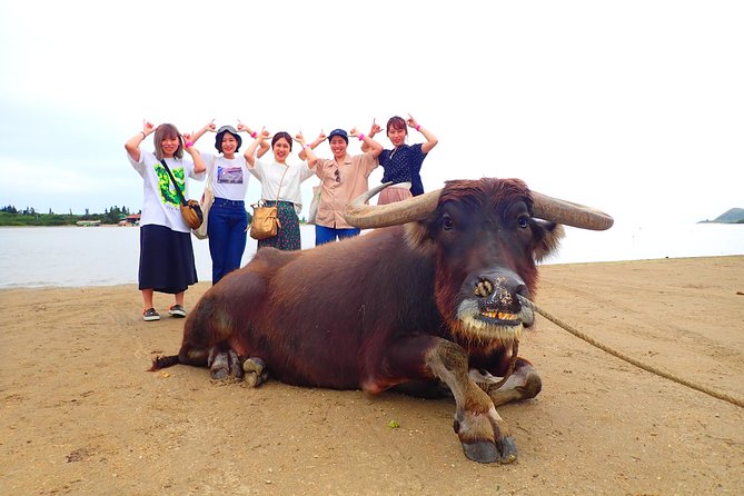 [Okinawa Iriomote] Splash Canyoning + Sightseeing in Yubujima Island