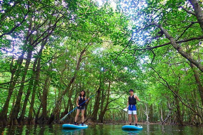 [Okinawa Iriomote] Sup/Canoe Tour in a World Heritage - Tour Overview and Highlights