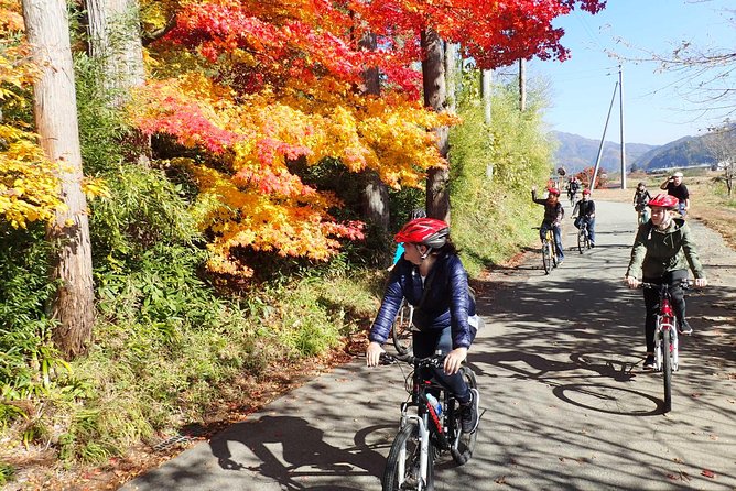 Private Afternoon Cycling Tour in Hida-Furukawa