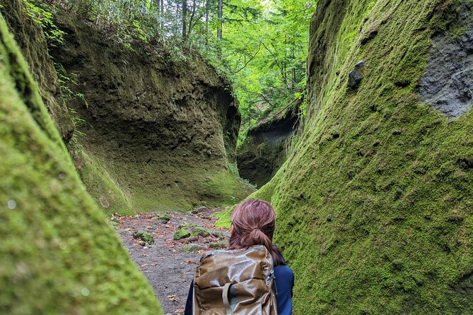 Private Day Trip of Lake Shikotsu and Moss Canyon