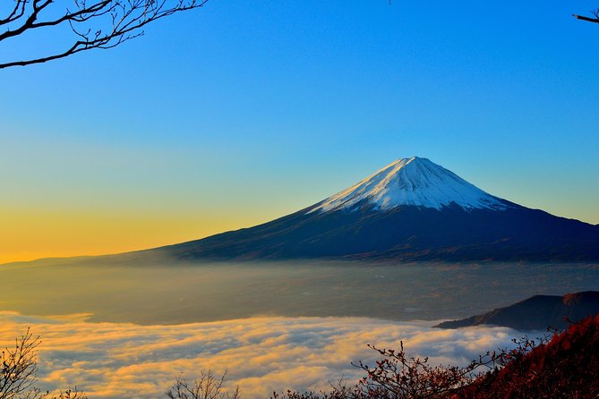 Private Guide Sightseeing to Mt Fuji & Hakone ENGLISH SPEAKING