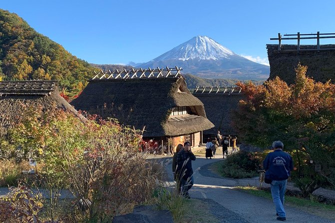 Private Sightseeing to Mt Fuji and Hakone Full Day