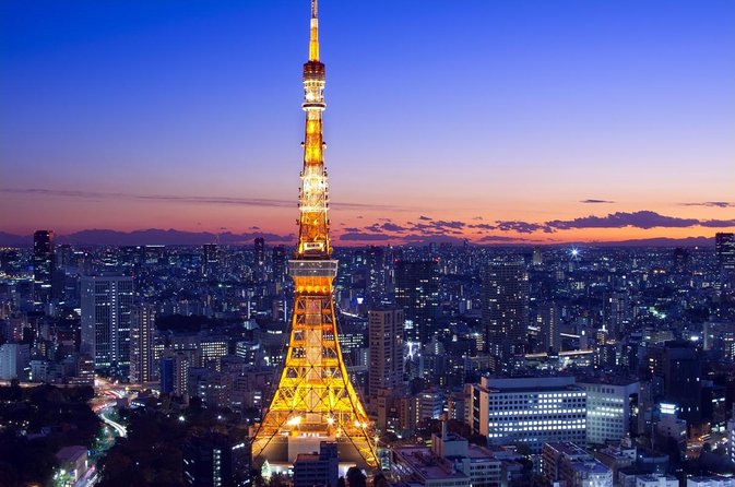 Private Transport Tokyo City Night View Tour