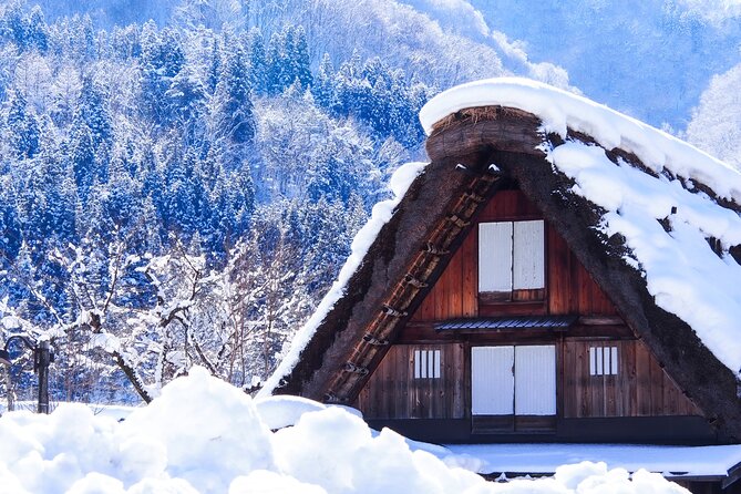 Shirakawa-Go and Hida-Takayama Private Day Trip From Nagoya - Private Day Trip Overview