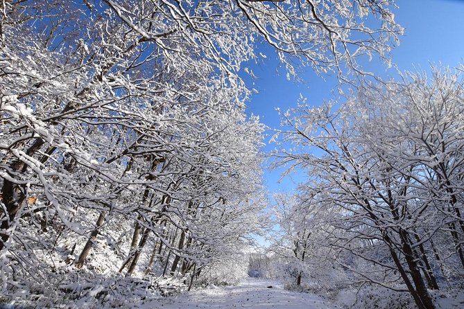 Snowshoe Hike Tour From Sapporo - Explore Sapporos Winter Wonderland