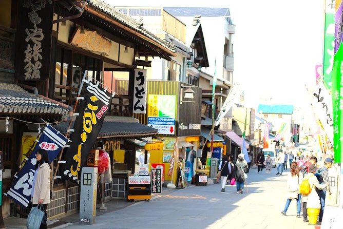 Takamatsu Half-Day Private Tour With Government-Licensed Guide - Explore Takamatsus Hidden Gems