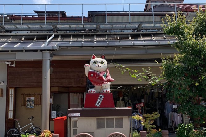 Takayama Old Town Walking Tour With Local Guide