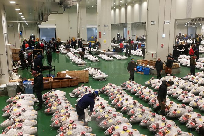 Tuna Auction and Tokyo Toyosu Fish Market Tour