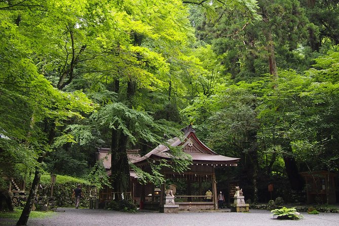 1 Day Hiking Tour in the Mountains of Kyoto - What to Expect From Your Guide