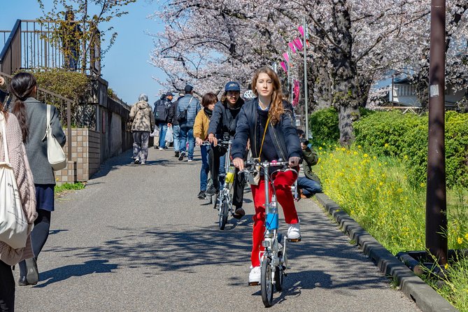 2.5 Hour-Guided Cycle Tour in the Central Tokyo - Meeting and Starting Point Details