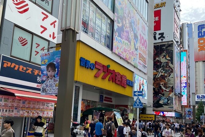 Anime, Manga, Game & Maid Cafe Tour in Akihabara - Game Centers and Arcades Galore