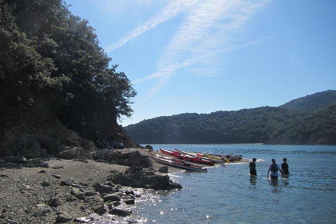 Explore the Nature That Inspired Ghibli Movies by Kayak (Half Day) - Kayaking Through Inspiration