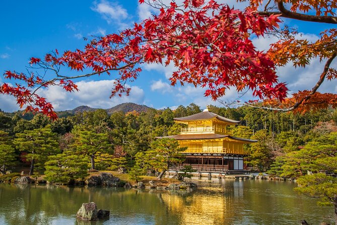 From Osaka-Kyoto: Kyoto and Nara 1DAY Bus Tour W/Kinkakuji Ticket - Tour Reviews and Ratings