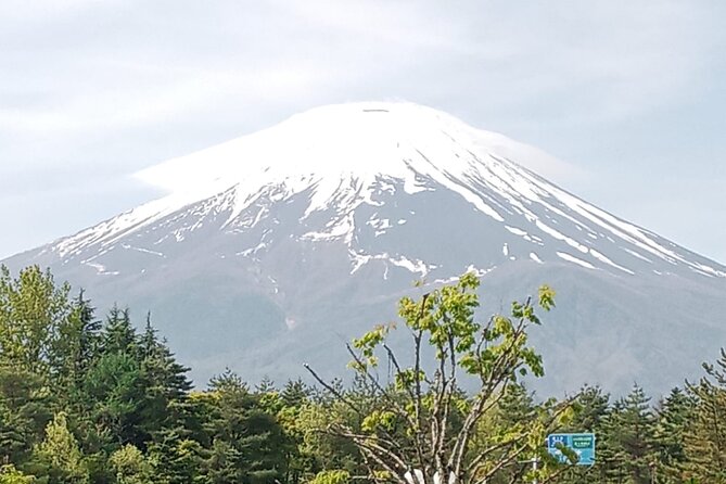 Full-day Private Mount Fuji Tour by Premium Car - Premium Car Features and Amenities