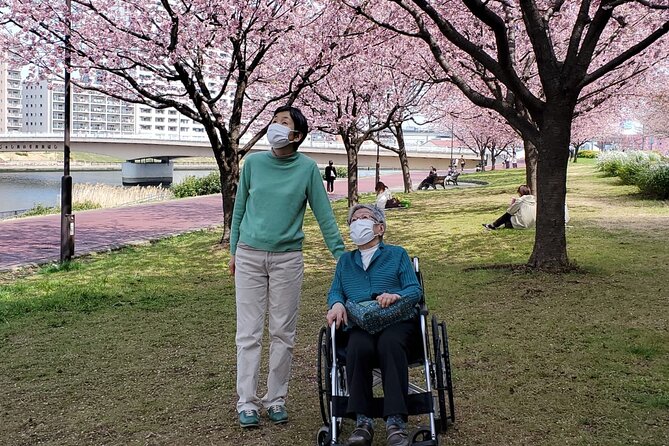 Full Day Private Tokyo Tour for Wheelchair Users - Navigating Accessibility in Tokyo