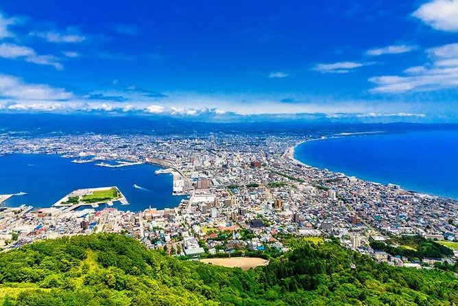 Hakodate Half-Day Private Tour With Government-Licensed Guide - Inclusions and Exclusions Policy