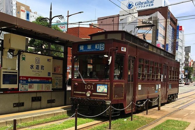 Kumamoto Half-Day Private Tour With Government-Licensed Guide - What to Expect on Tour