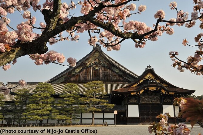 Kyoto and Nara 1 Day Trip - Golden Pavilion & Todaiji From Osaka - Tour Highlights and Overview