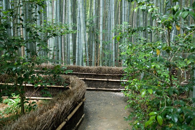 Kyoto Bamboo Forest Electric Bike Tour - Meeting Point and Itinerary