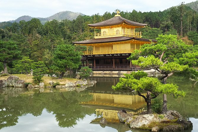 Kyoto Early Riser Golden One-Day Tour - Expert Guide to Unmissable Attractions