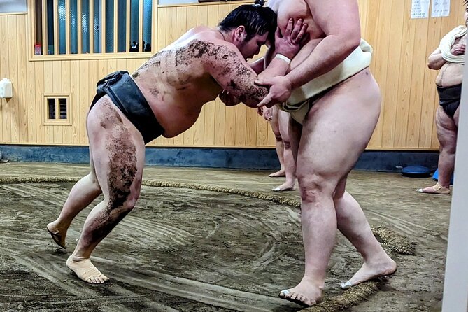 Morning Sumo Practice Viewing in Tokyo - Sumo Practice Session Details