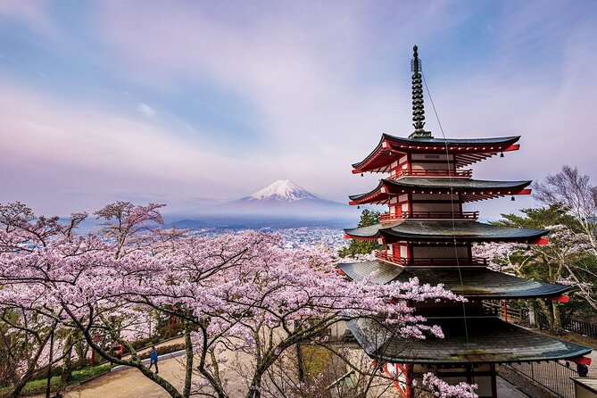 Mount Fuji & Hokane Lakes With English-Speaking Guide - Private Transportation and Guide