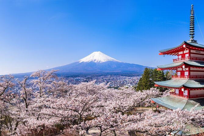 Mt.Fuji and Hakone Tour - Itinerary and Schedule