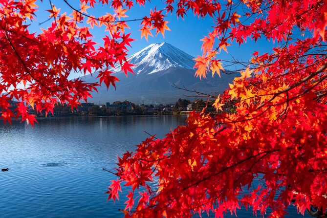 Mt. Fuji Flower Festival Tour With Ropeway Experience From Tokyo - Meeting and Pickup Details