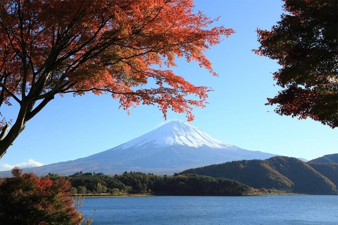 Mt. Fuji & Hakone 1 Day Bus Tour From Tokyo Station Area - Meeting Point and Departure