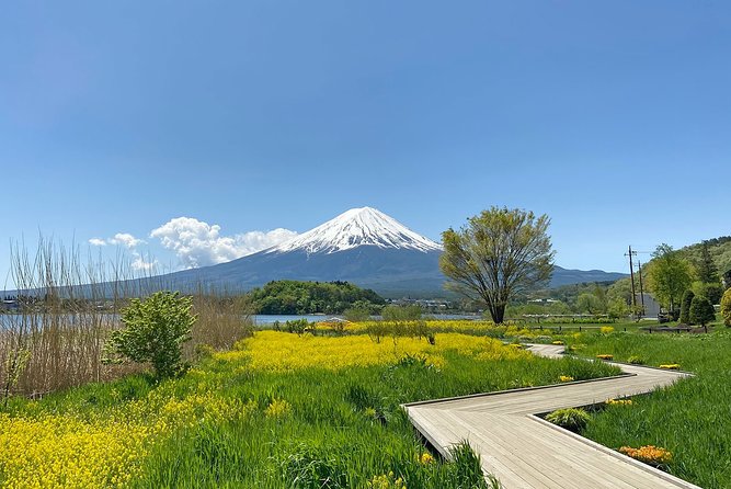 Mt Fuji Half-Day Tour By Car - Itinerary and Route Details