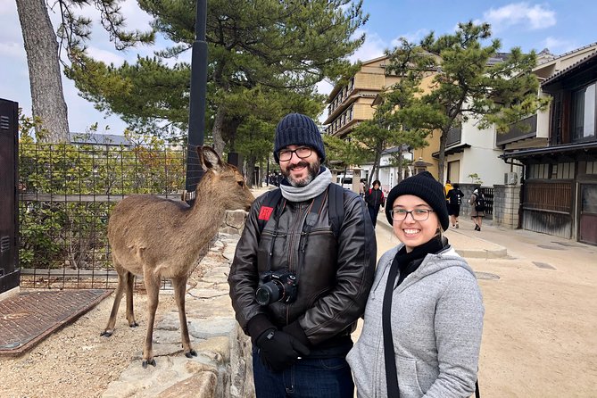 Nara 6hr Private Tour With Government-Licensed Guide - Expert Guide and Itinerary