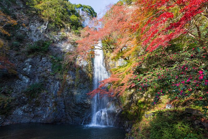 Nature Walk at Minoo Park, the Best Nature and Waterfall in Osaka - Natures Harmony at Minoo Park