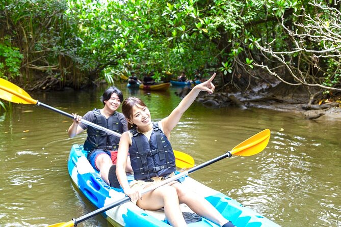 [Okinawa Iriomote] Sup/Canoe Tour in a World Heritage - What to Expect on Tour