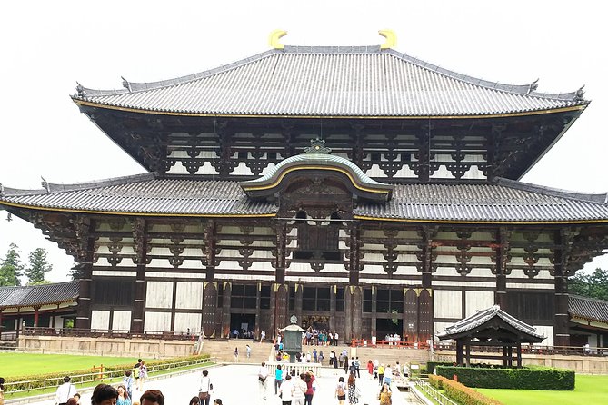 One-Day Tour of Amazing 8th Century Capital Nara - Wandering Through Nara Park